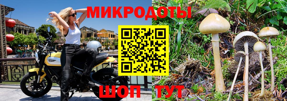 Псилоцибиновые грибы ЛСД Черногорск