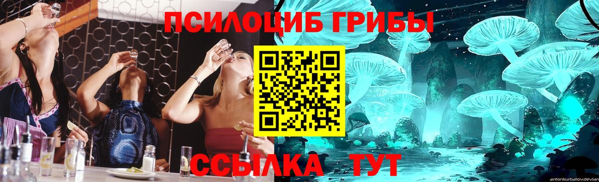 Псилоцибиновые грибы Magic Shrooms  Вход с VPN  Черногорск 
